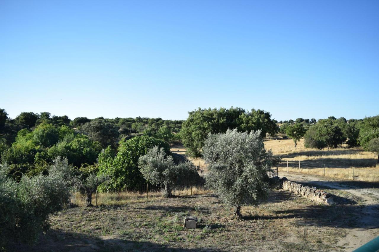 Memsoares Country House Castelo de Vide Exterior photo